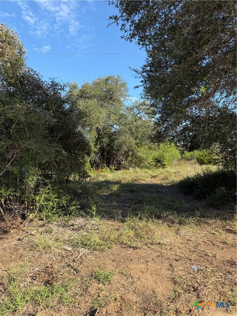 4680 Fm 532 W Property Photo 6