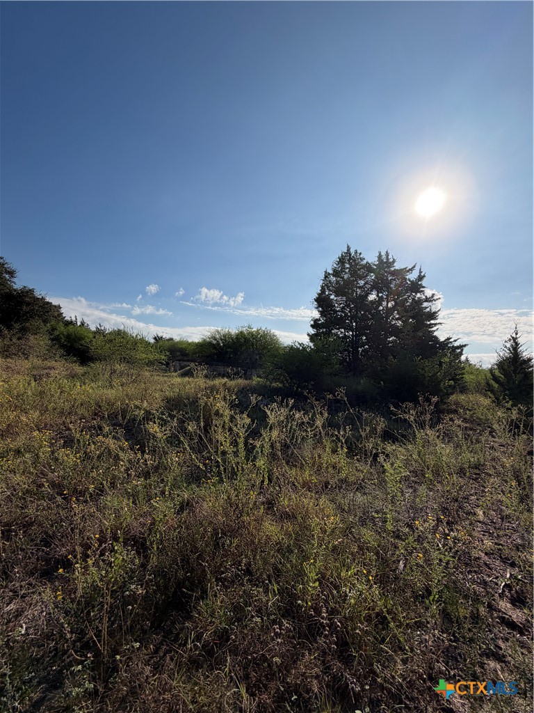4680 Fm 532 W Property Photo 7