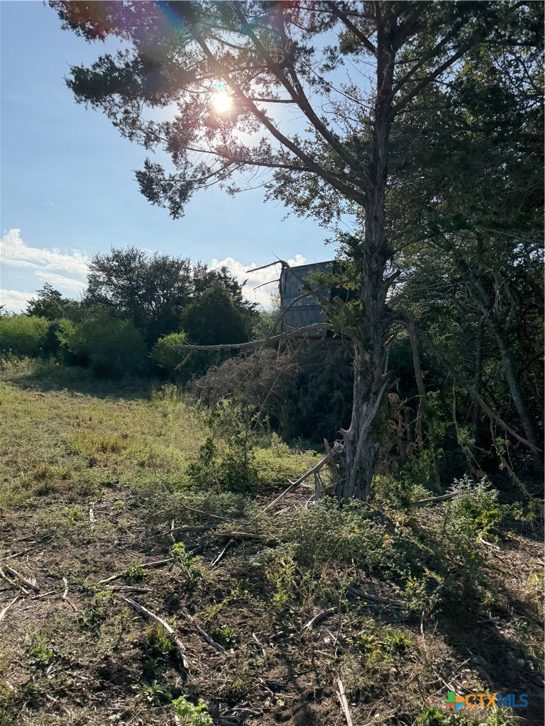 4680 Fm 532 W Property Photo 9