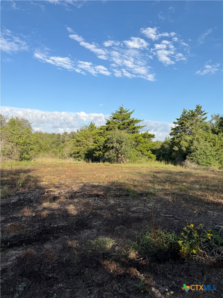 4680 Fm 532 W Property Photo 10