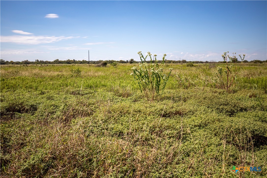 0 Hotz Road Property Photo 14