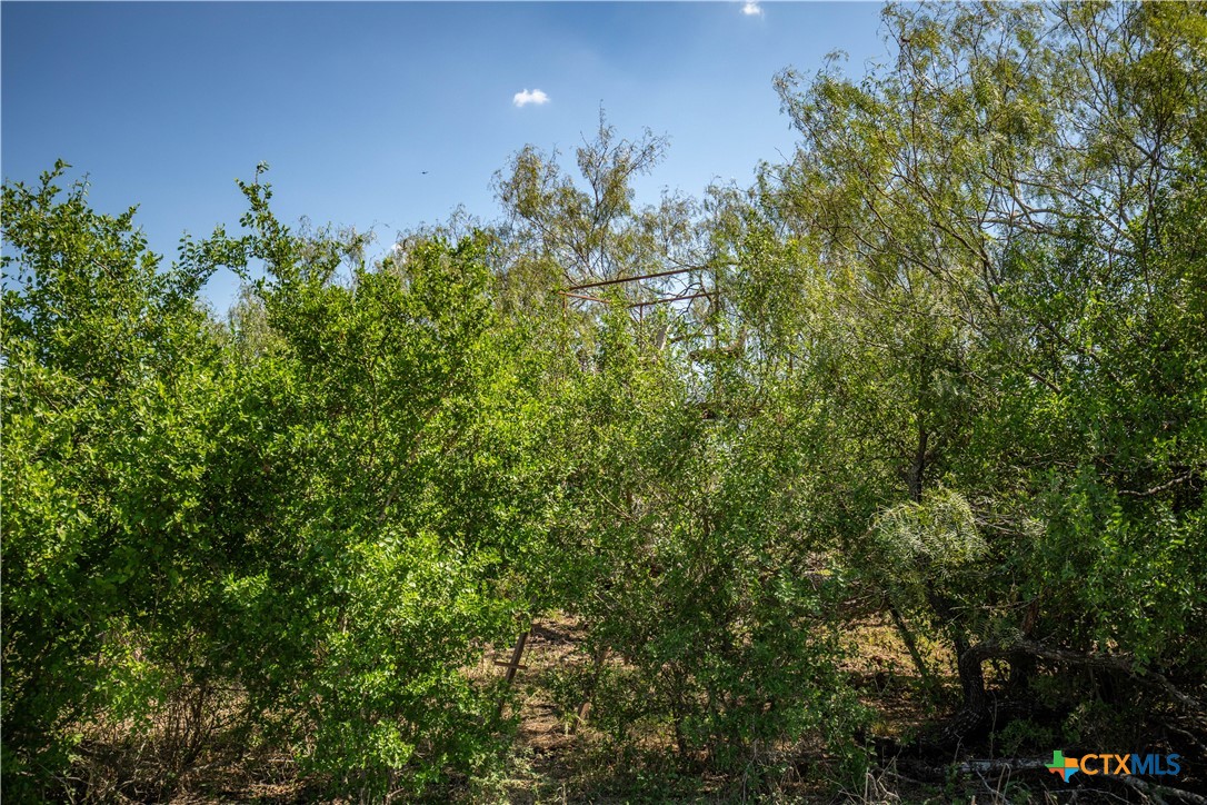 0 Hotz Road Property Photo 40
