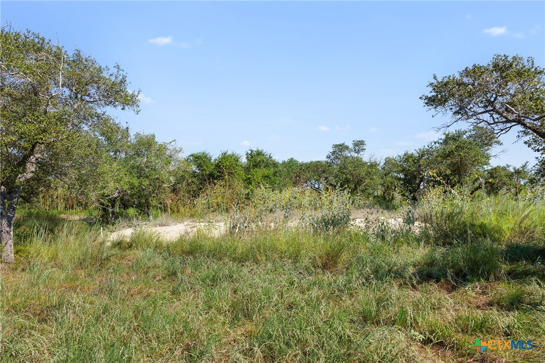 1601 Mathis Street Property Photo 10