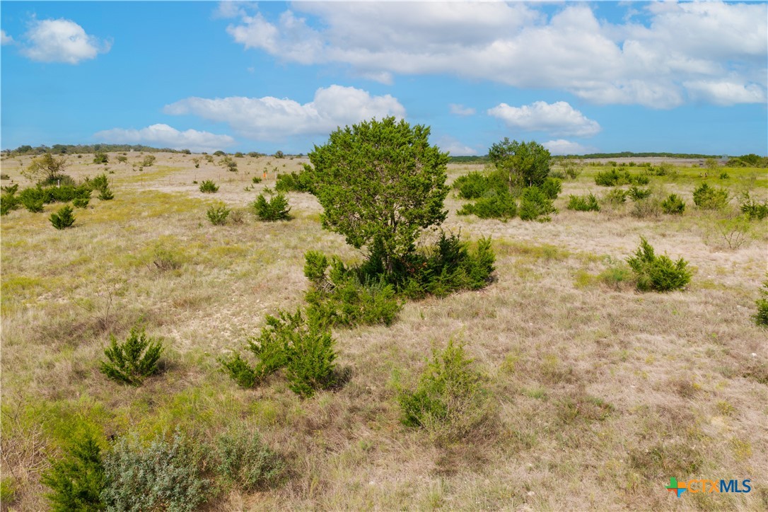 Tbd Cr 208 Property Photo 8