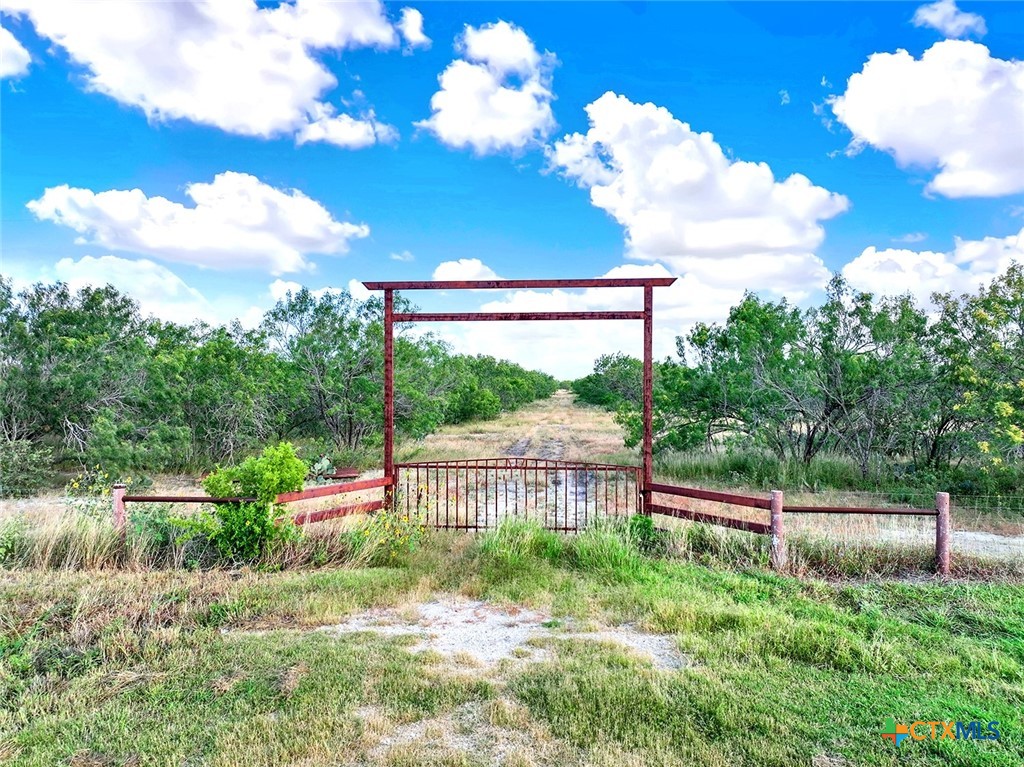 4190 County Road 415 Property Photo 2