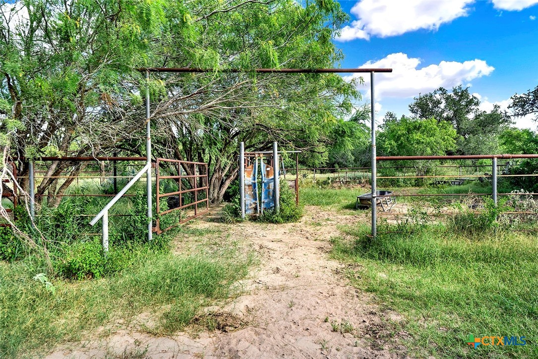 4190 County Road 415 Property Photo 18