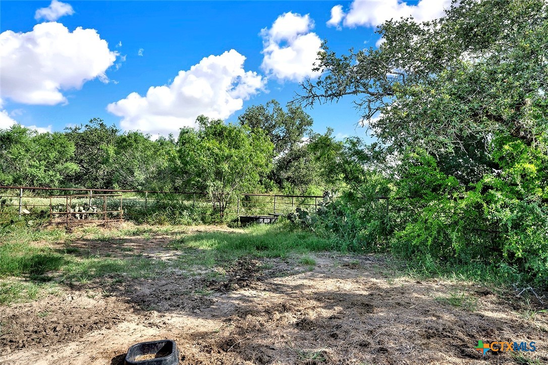 4190 County Road 415 Property Photo 20