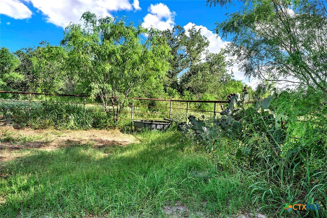 4190 County Road 415 Property Photo 21
