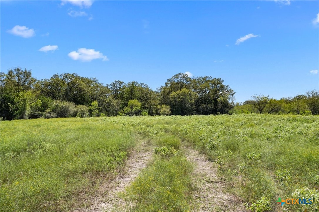6625 N Old Smithville Road Property Photo 5