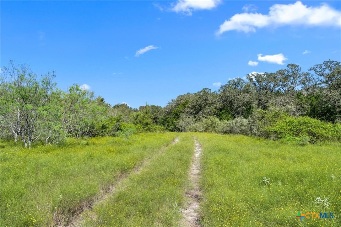 6625 N Old Smithville Road Property Photo 6