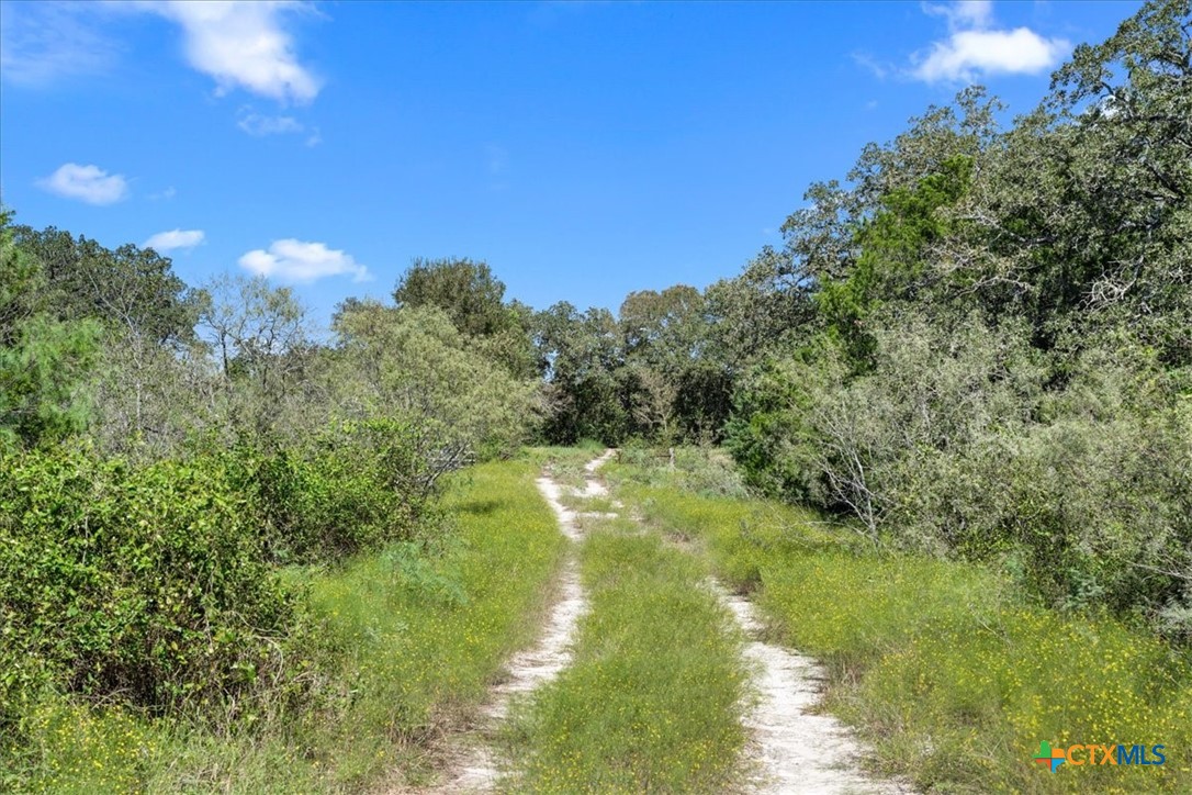 6625 N Old Smithville Road Property Photo 7