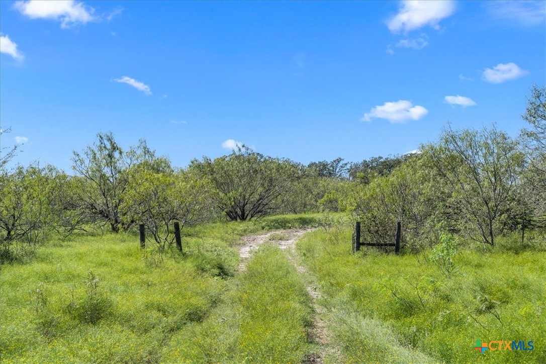 6625 N Old Smithville Road Property Photo 8