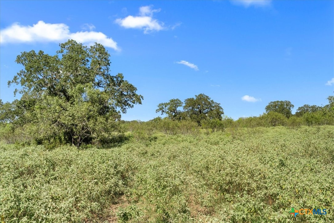 6625 N Old Smithville Road Property Photo 11