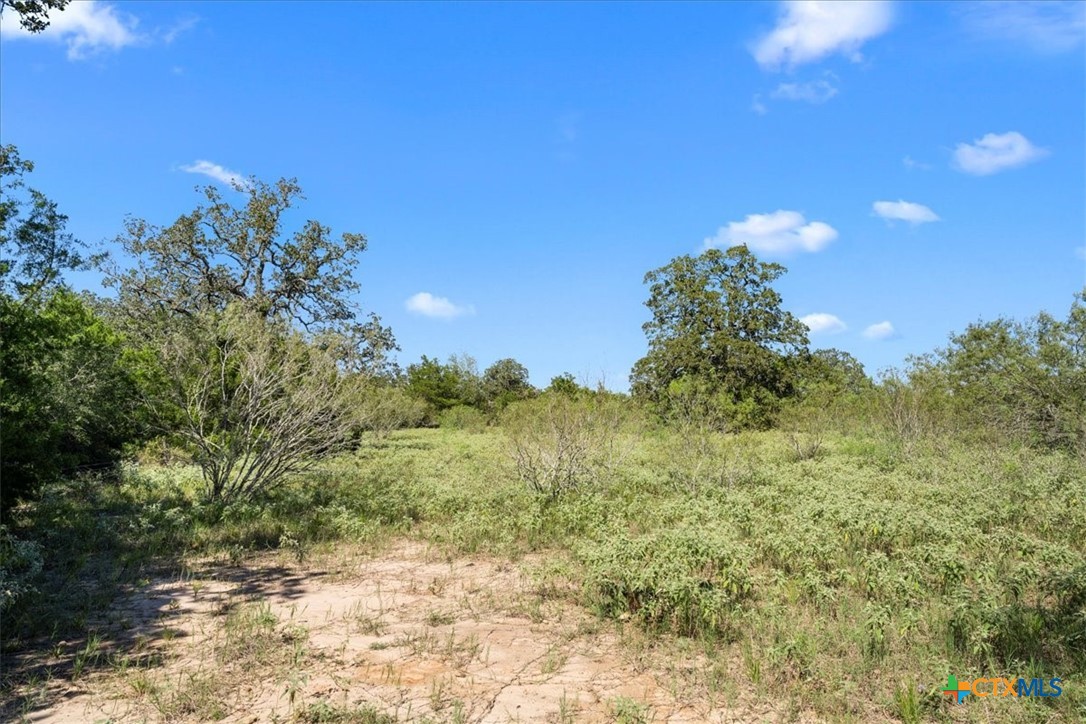 6625 N Old Smithville Road Property Photo 12
