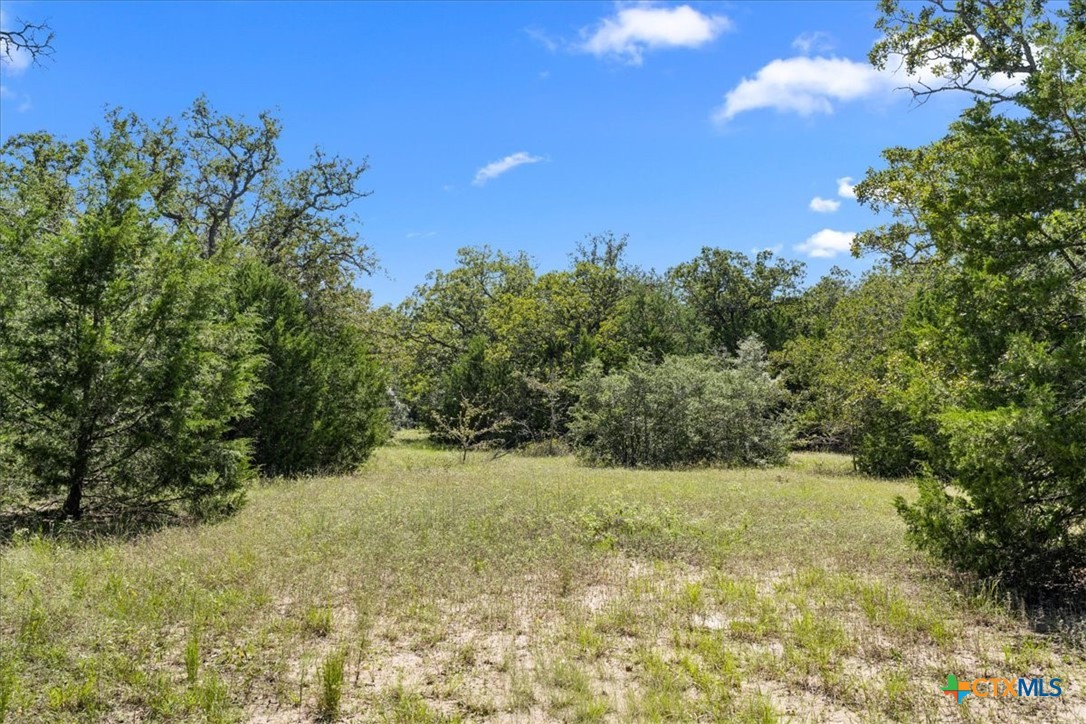 6625 N Old Smithville Road Property Photo 13