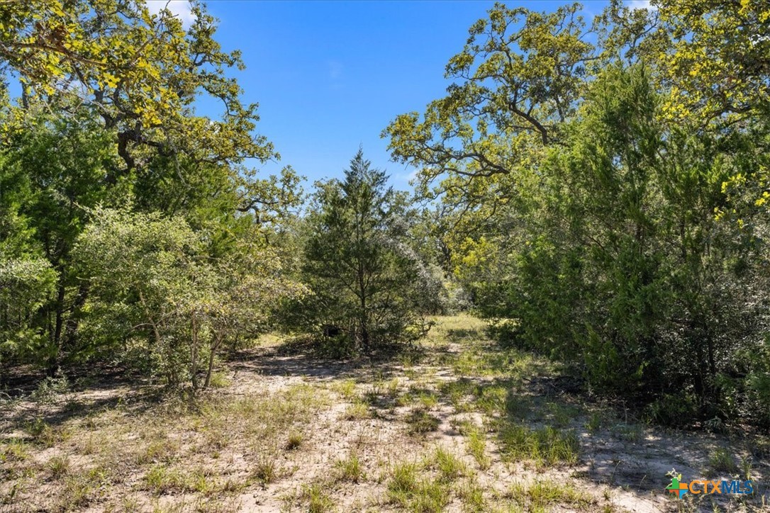 6625 N Old Smithville Road Property Photo 14