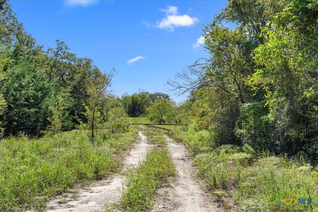 6625 N Old Smithville Road Property Photo 17