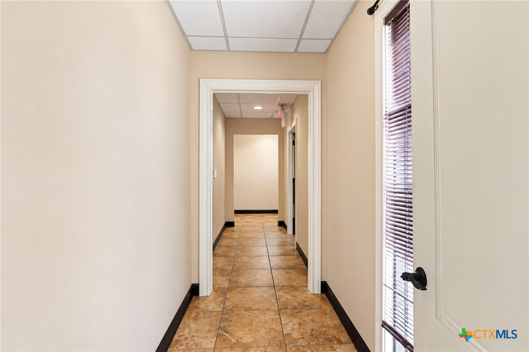 3602 Navarro Property Photo 8