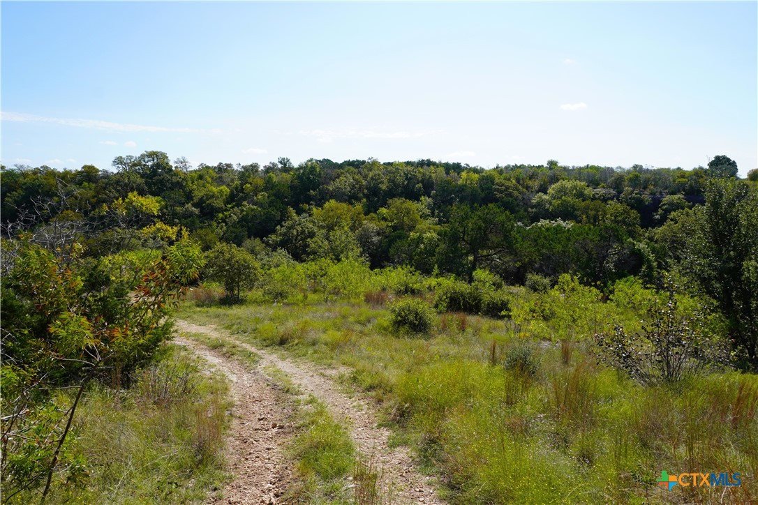 Tract 3 Sh-236 Property Photo 8