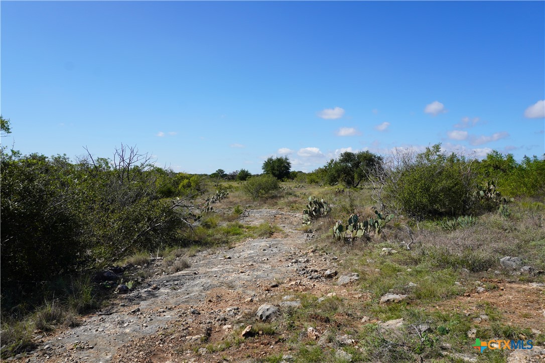 Tract 3 Sh-236 Property Photo 13