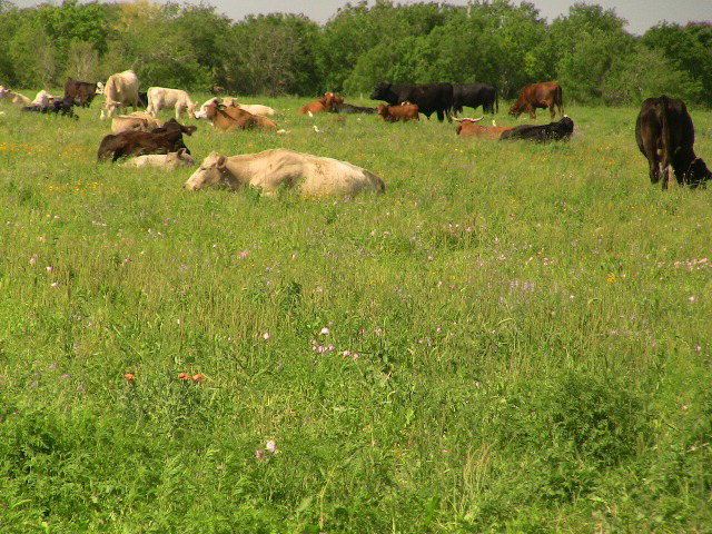 600ac Keeran Road Property Photo 1