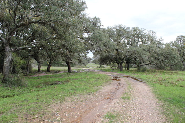 0 Rodriguez Property Photo 1