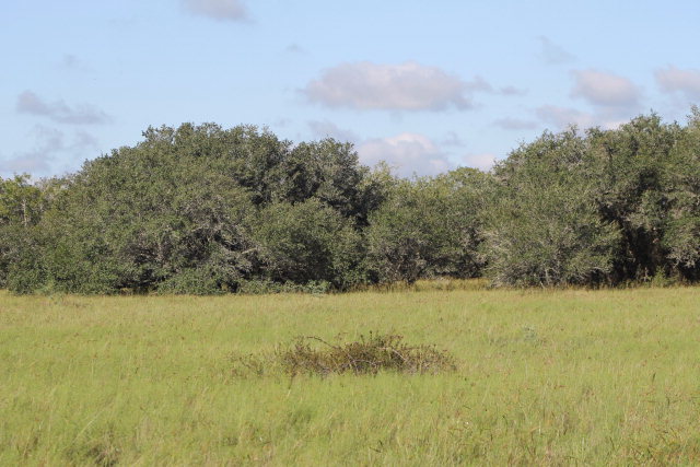 0 Highway 285 Off 111 Property Photo 1