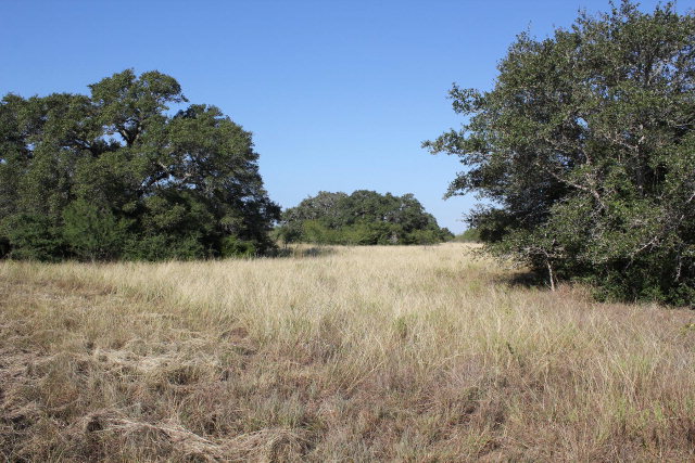 00 Horseshoe Road Property Photo 1
