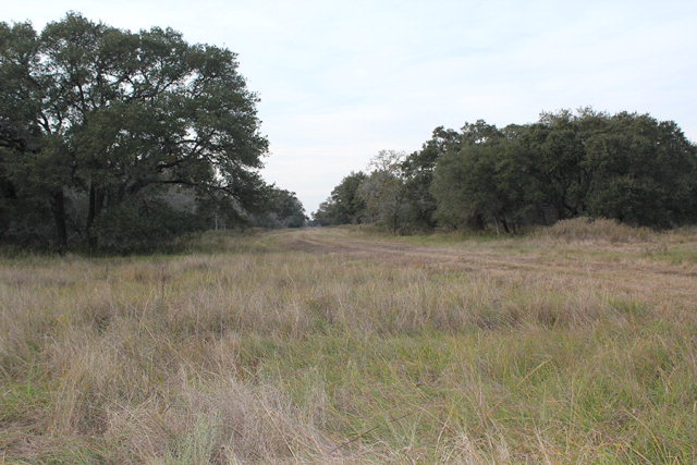 550 County Road Property Photo 1