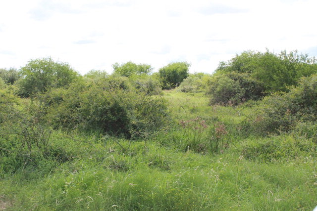 0000 Old Highway Road Property Photo 1