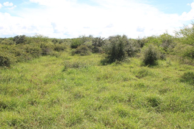 0000 Old Highway Road Property Photo 1