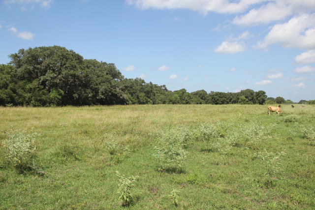 0000 Beck Road Property Photo 1