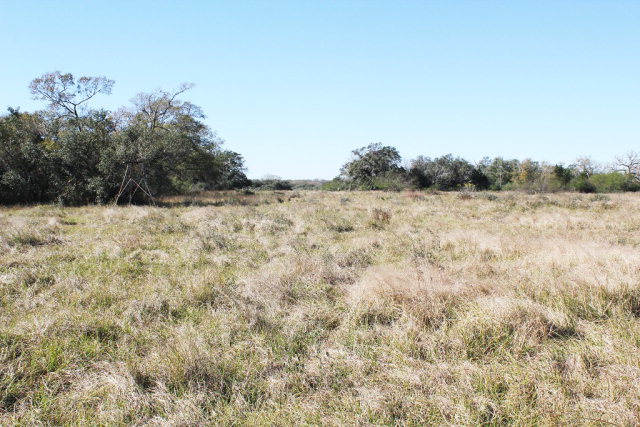 0000 Camp Road Property Photo 1