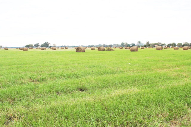 0000 State Highway 1725 Property Photo 1