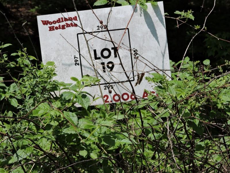 4781 Turkey Trail Property Photo 2