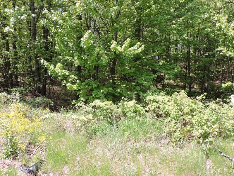 4781 Turkey Trail Property Photo 3