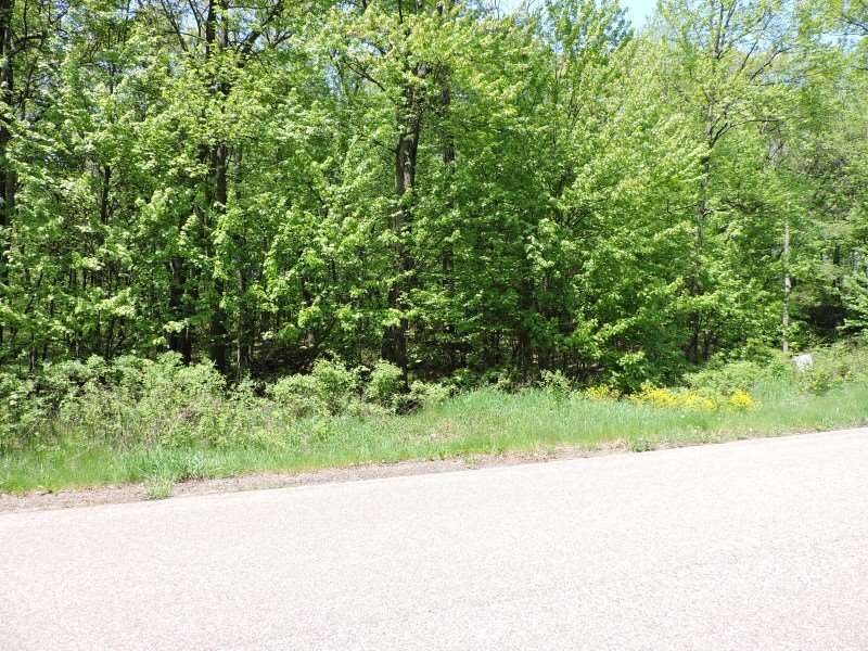 4781 Turkey Trail Property Photo 4