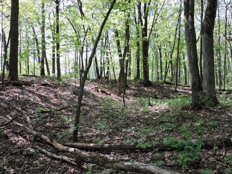 4781 Turkey Trail Property Photo 6