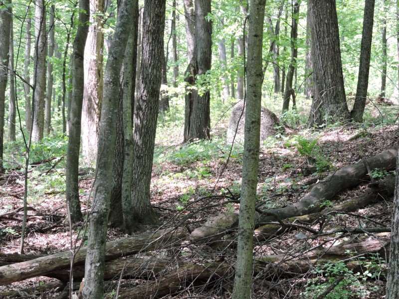 4781 Turkey Trail Property Photo 7