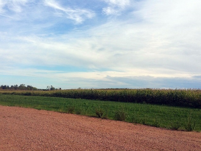 #1 S Draxler Drive Property Photo 1