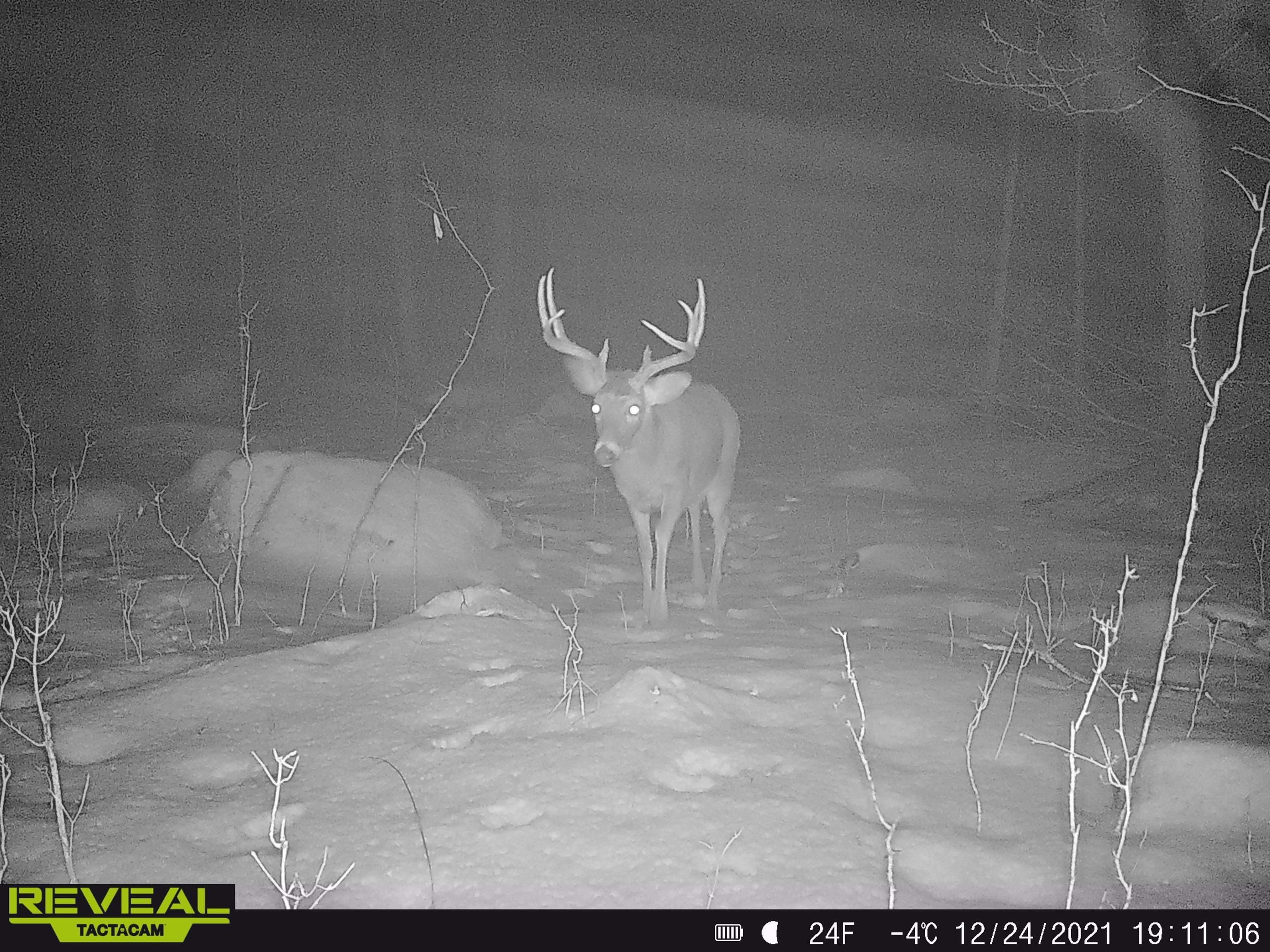 0 Beetle Creek Road Property Photo 1