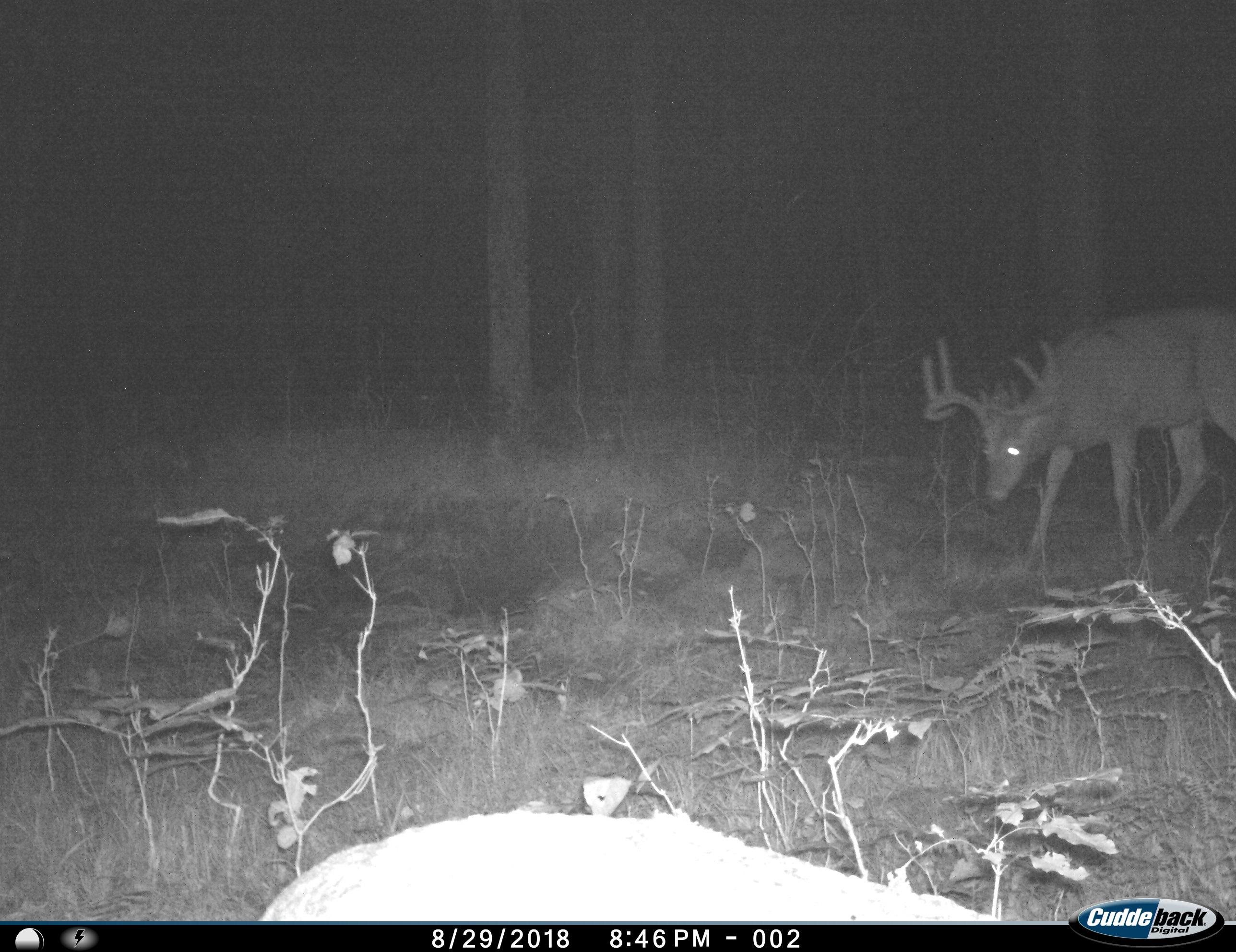 0 Beetle Creek Road Property Photo 14