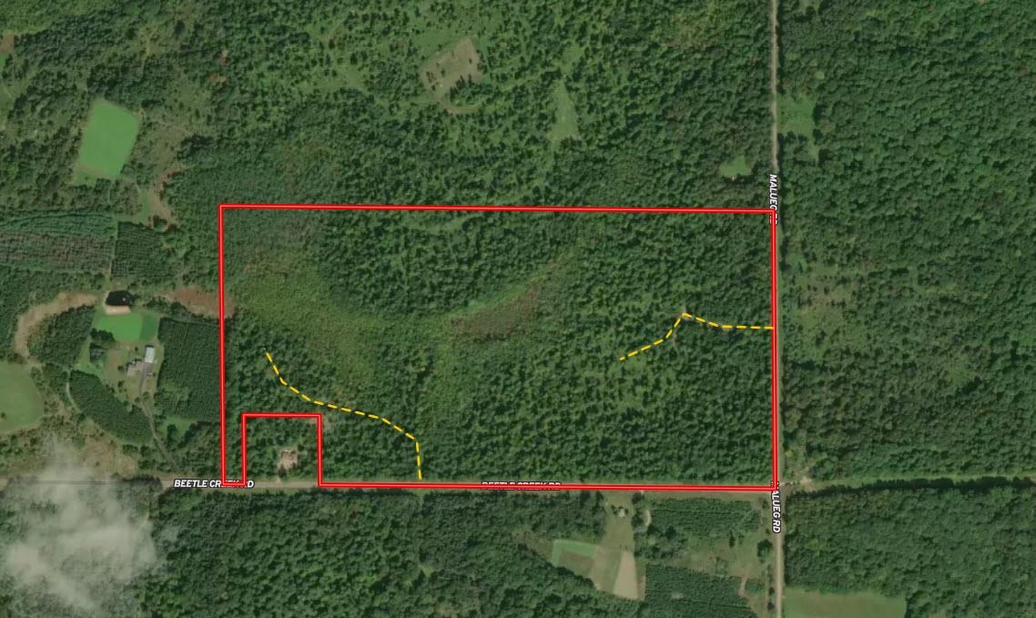 0 Beetle Creek Road Property Photo 33