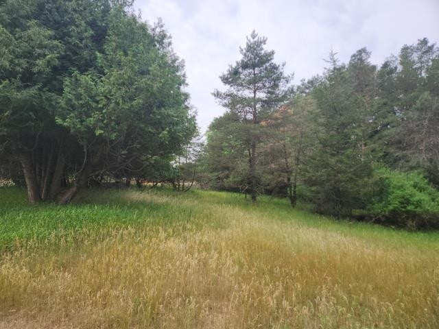 Lot 2 Crestview Lane Property Photo 5