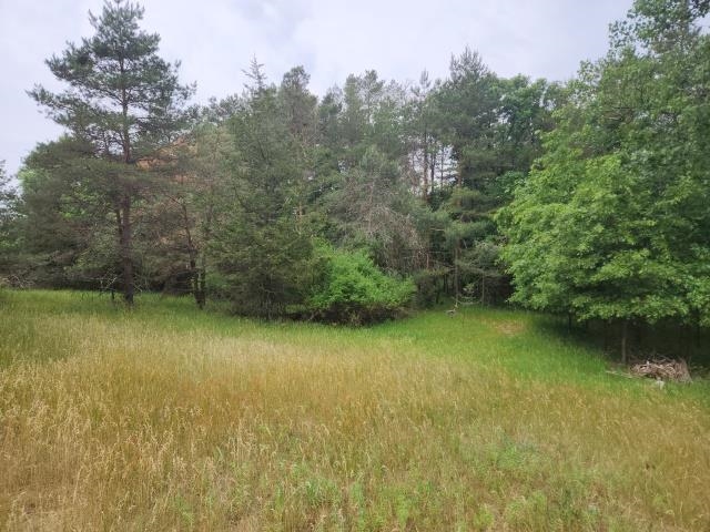Lot 2 Crestview Lane Property Photo 6