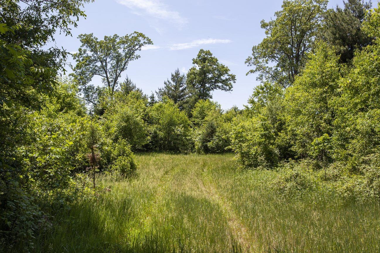 80 Acres County Road V Property Photo 5