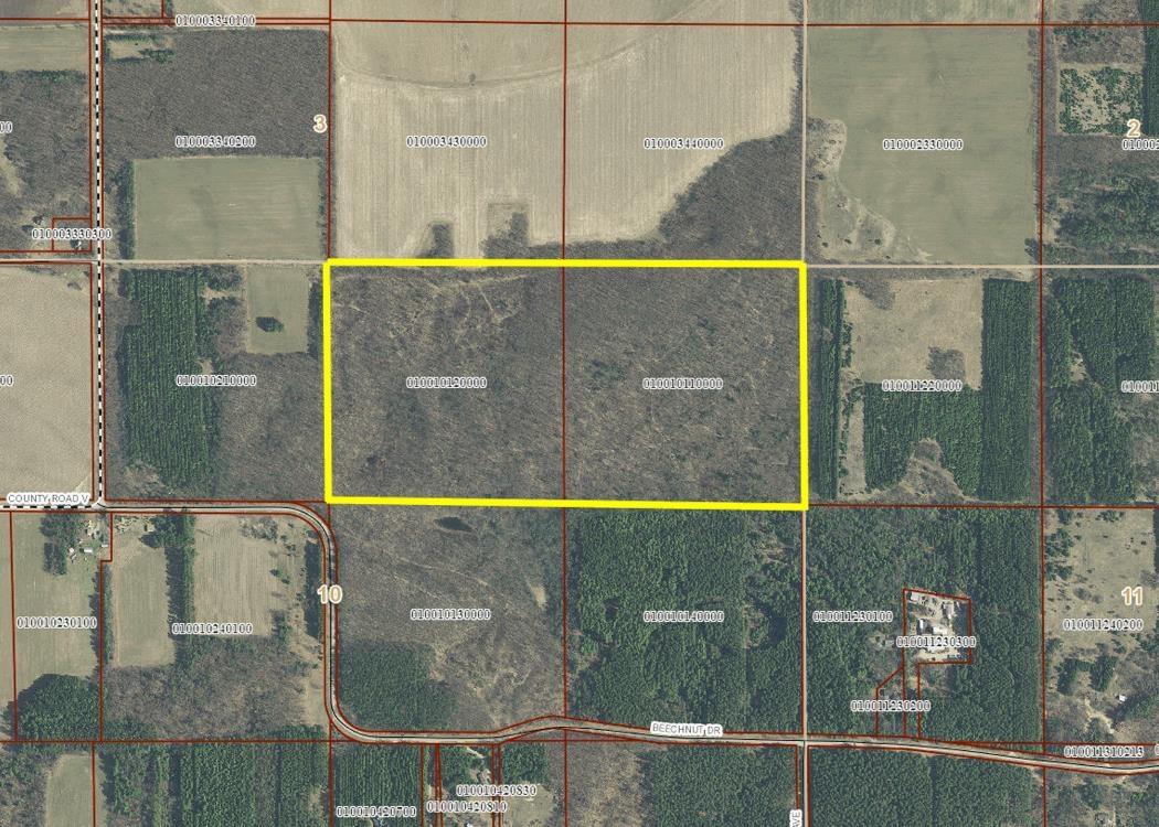 80 Acres County Road V Property Photo 6