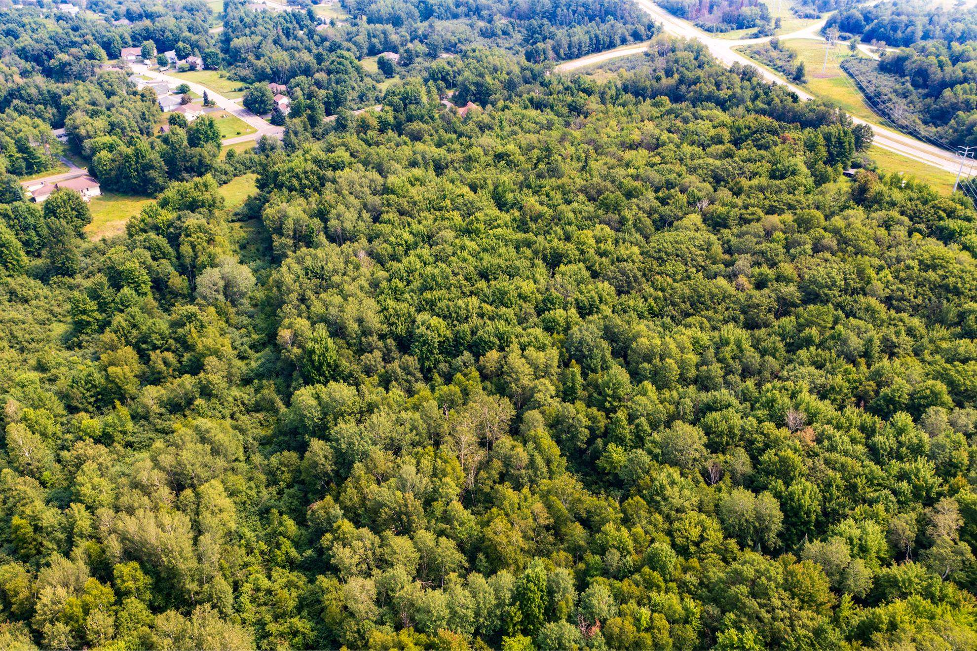 9404 Camp Phillips Road Property Photo 4