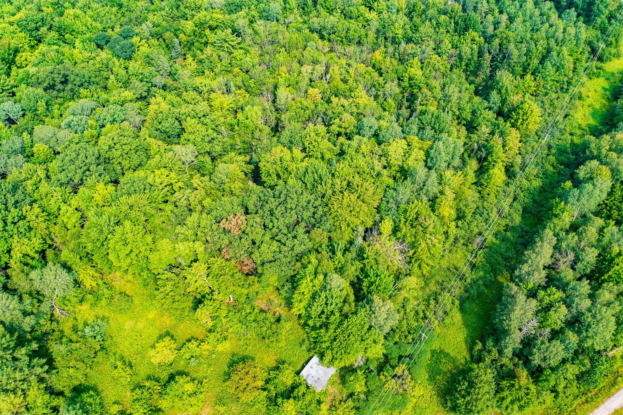 9404 Camp Phillips Road Property Photo 13