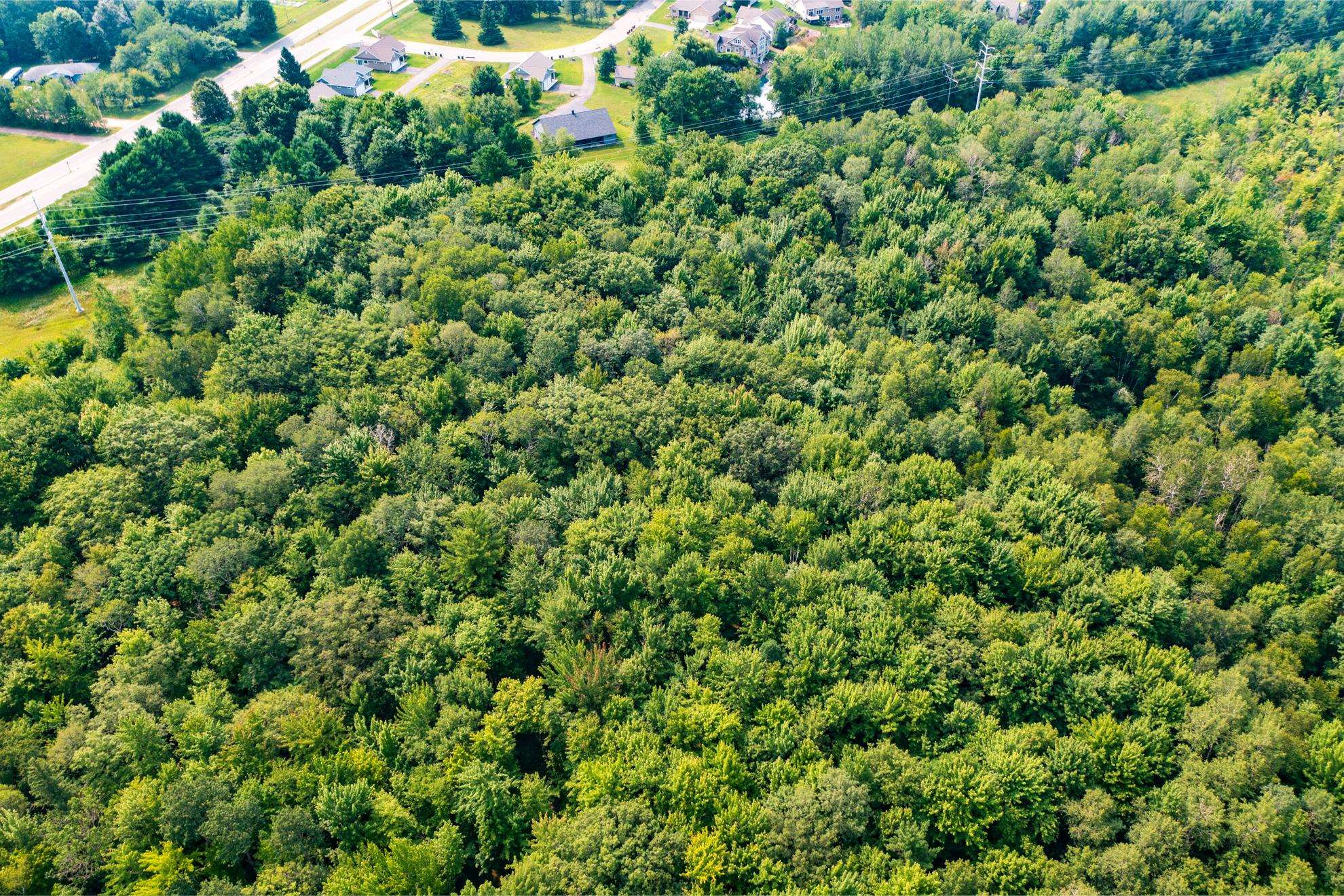 9404 Camp Phillips Road Property Photo 15